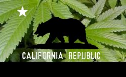 Le cannabis en Californie