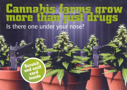 "Les fermes de cannabis cultivent bien plus que de la drogue"